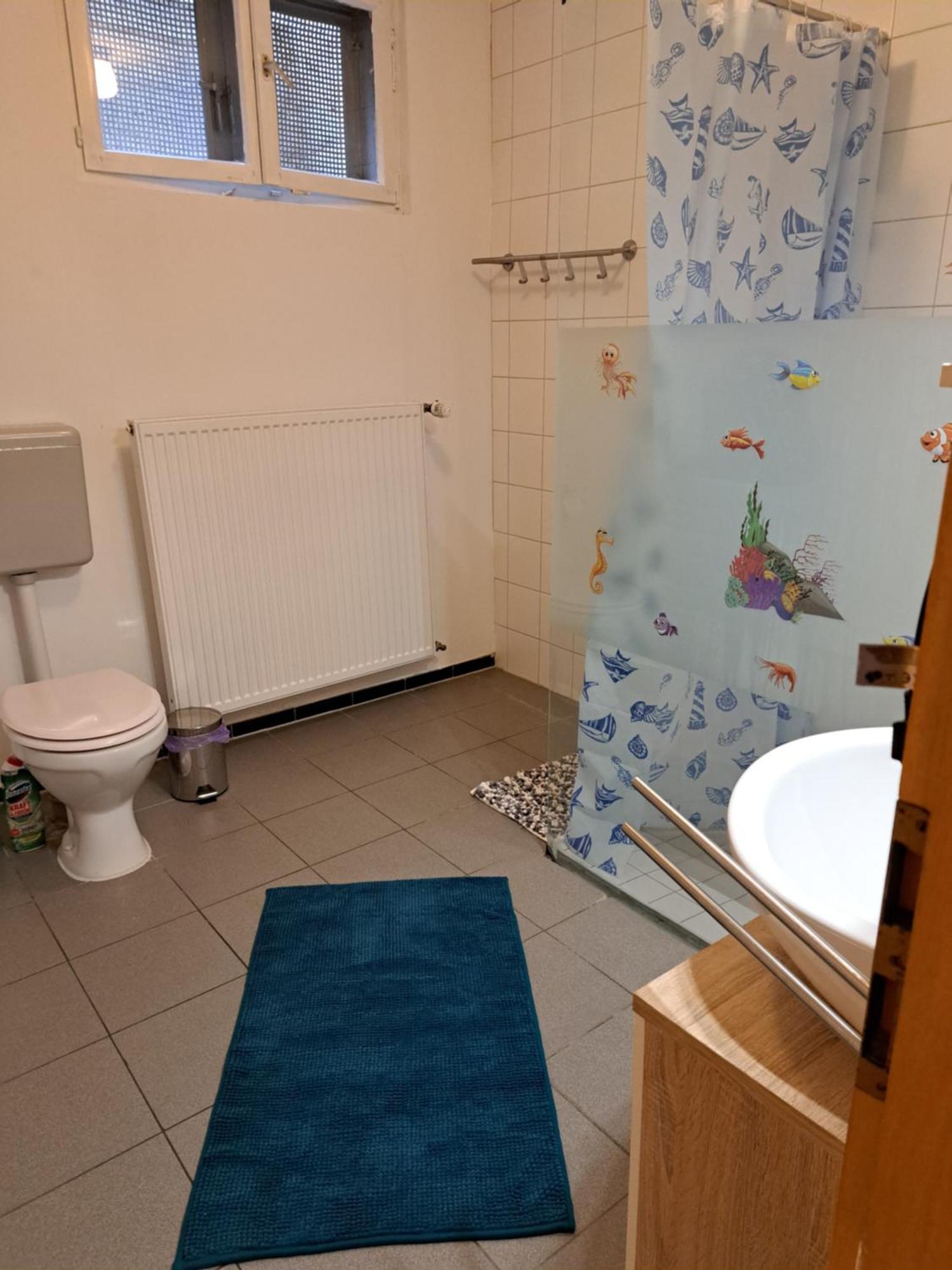 Wohnung Mit 2 - 3 Zimmern Ballenberg المظهر الخارجي الصورة