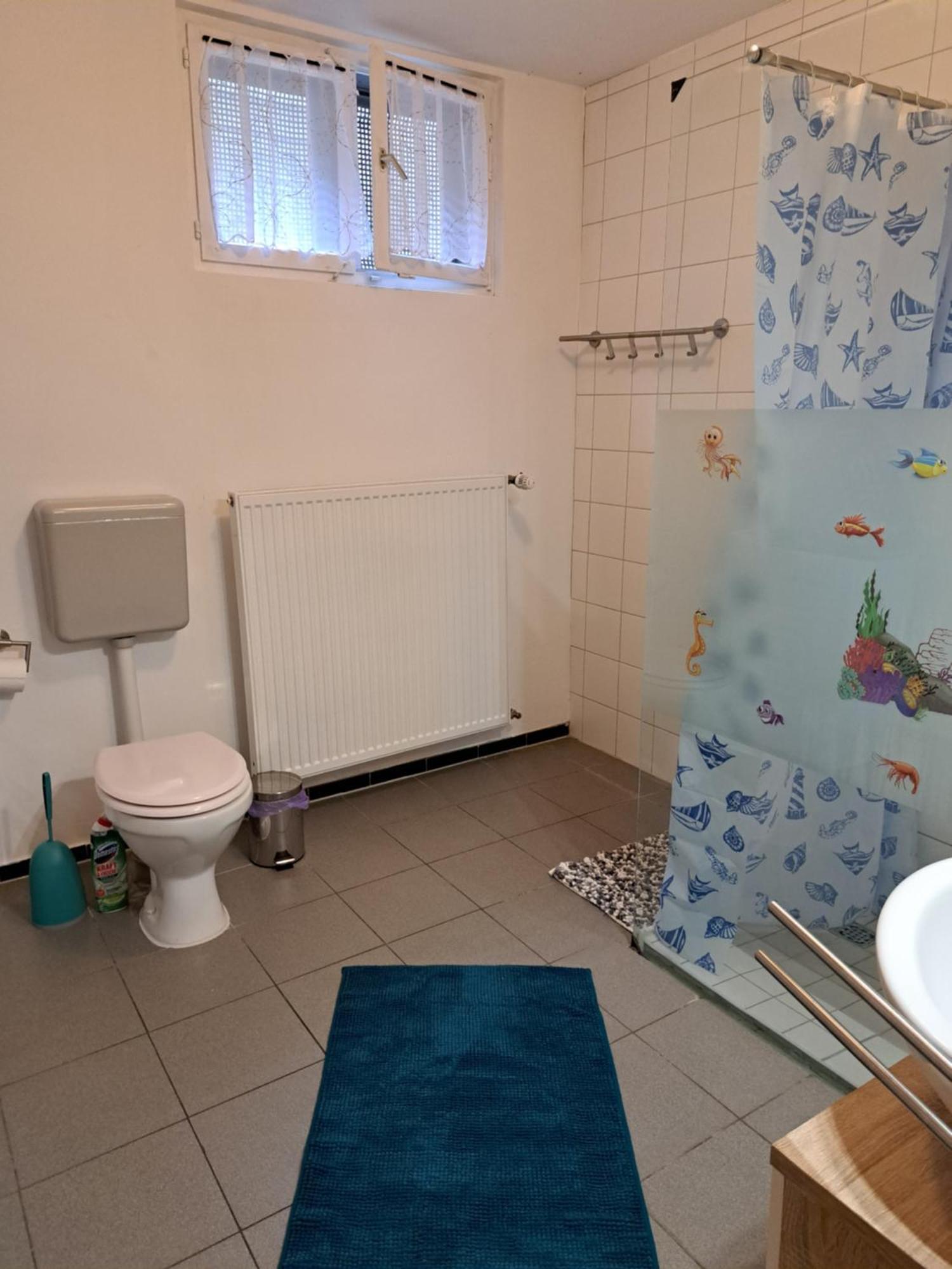 Wohnung Mit 2 - 3 Zimmern Ballenberg المظهر الخارجي الصورة