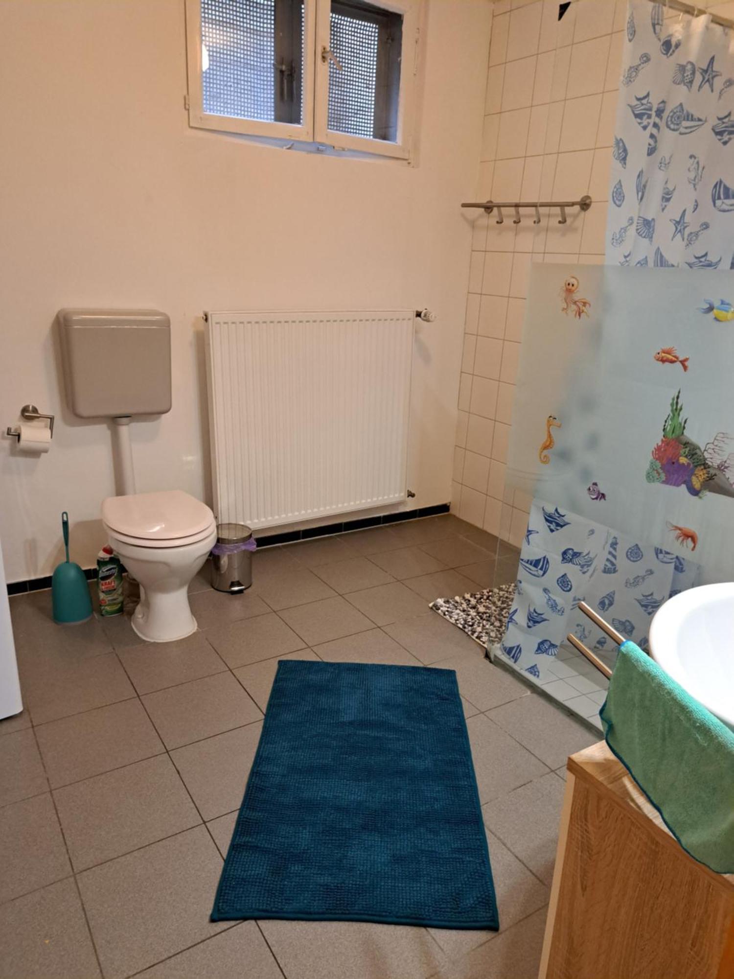 Wohnung Mit 2 - 3 Zimmern Ballenberg المظهر الخارجي الصورة